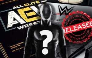 Recently Released WWE Talent Links Up With AEW Faction