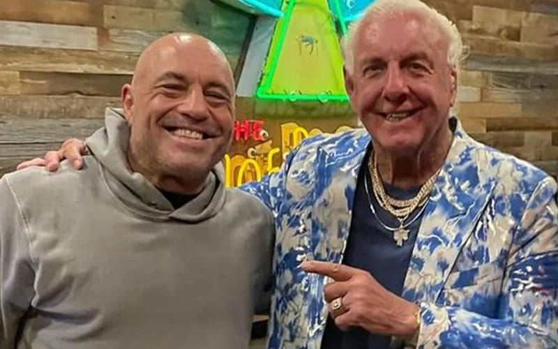 Ric Flair Announces Joe Rogan Podcast Return Amid Hogan Death Backlash