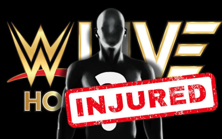 Another WWE Star Possibly Injured on WWE Holiday Tour