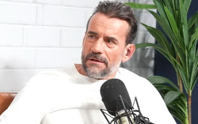 CM Punk Slams Obsessive Fans Over Fantasy Booking Rage