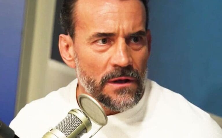 CM Punk Tears Into Online Fans for Hyperbolic Reactions and Negativity