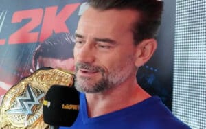 CM Punk Reveals Big Advantage After Roman Reigns WrestleMania Decision