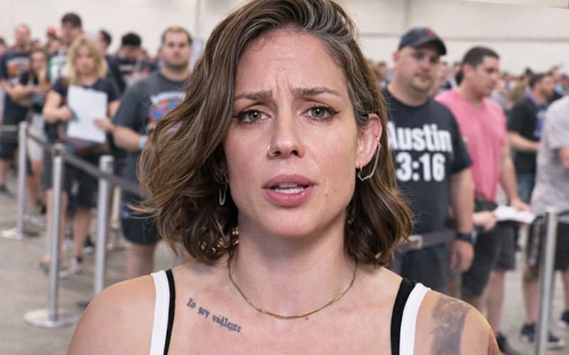 Ex-WWE Star Kaitlyn Blasts Fans for Bringing Her Leaked Private Photos to Signings