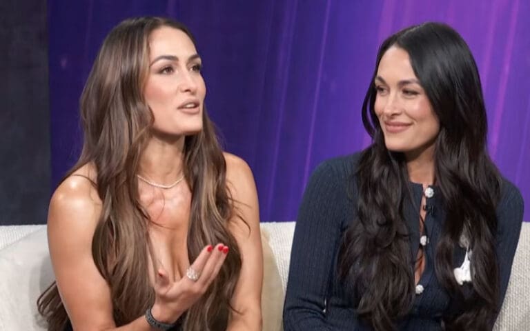 Bella Twins Name WWE Tag Teams They Want To Face