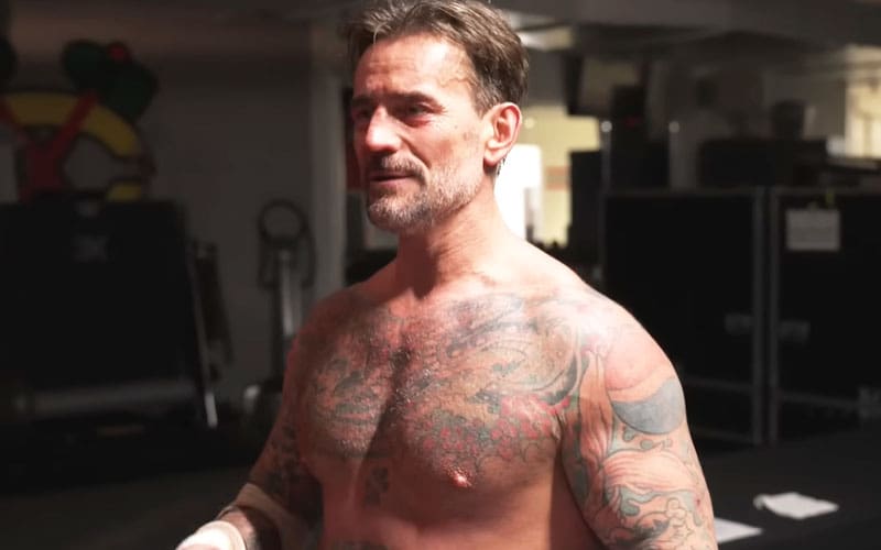 CM Punk Reveals Special Meaning Behind Tattoo Honoring His Late Dog Larry