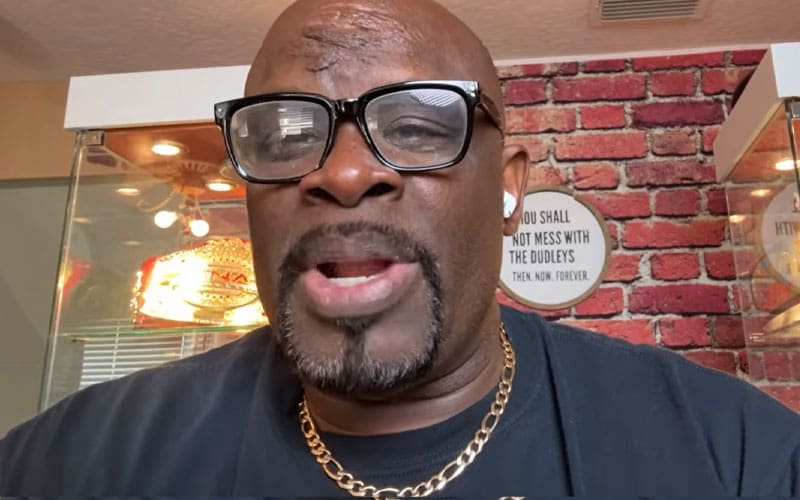 D-Von Dudley Says Attitude Era Will Never Return Due To Modern Sensitivity