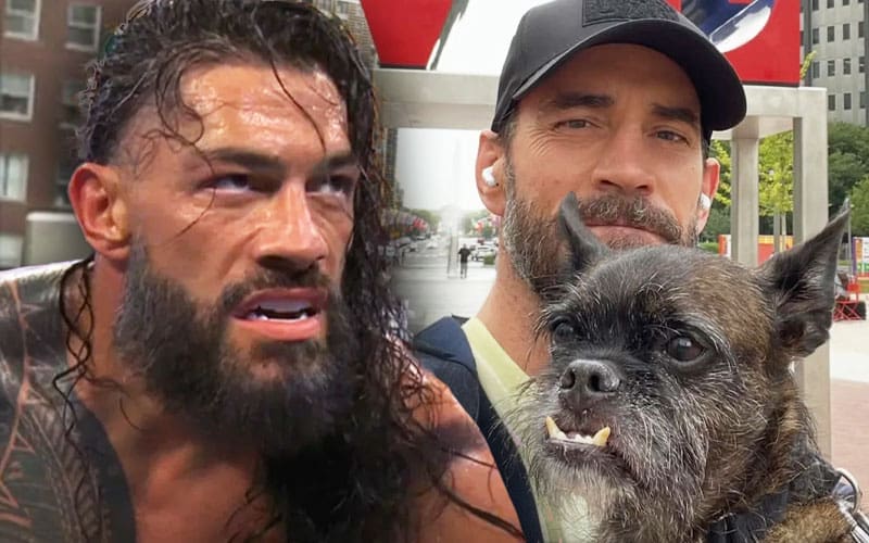 Fans Urge Roman Reigns to Trash CM Punk’s Dead Dog Larry on Monday’s WWE RAW