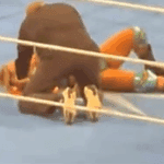 Jordynne Grace Seemingly Injured Before 3/6 WWE SmackDown