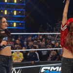 WWE Women's Tag Team Title Match Ends After Bella Twins Invade During 3/13 SmackDown