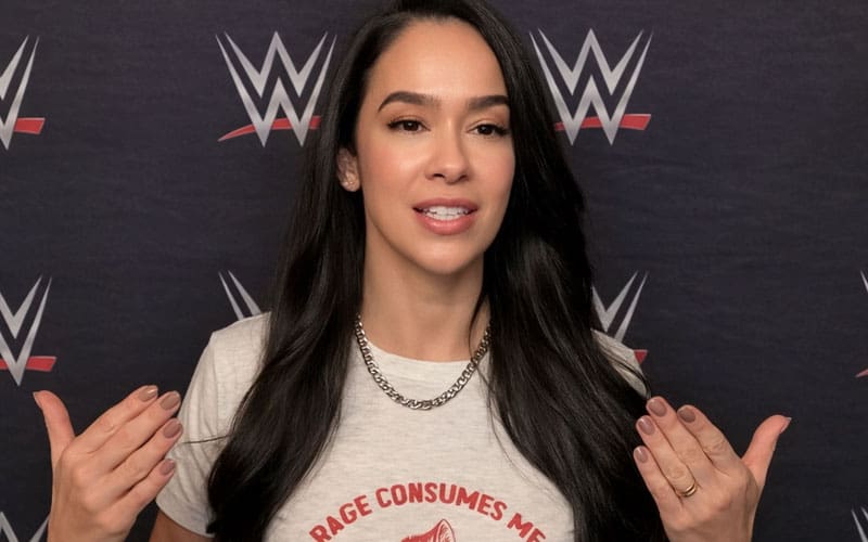AJ Lee Says Fans Forced Her To Come Back After Seeing 7-Hour Lines At Signings