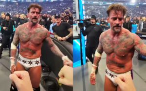 Footage Shows CM Punk Looking Devastated After Losing to Roman Reigns at WrestleMania 42