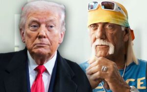 How Donald Trump Got Involved In Hulk Hogan’s Netflix Documentary