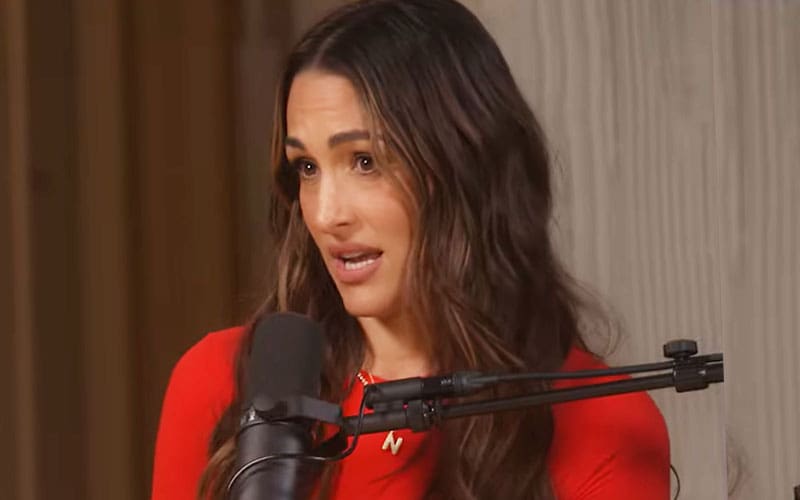 Nikki Bella Admits She Ignored Red Flags In Past Relationships