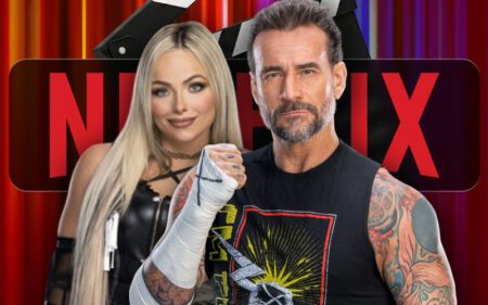 Netflix Exec Wants Movies With CM Punk and Liv Morgan After WWE Push