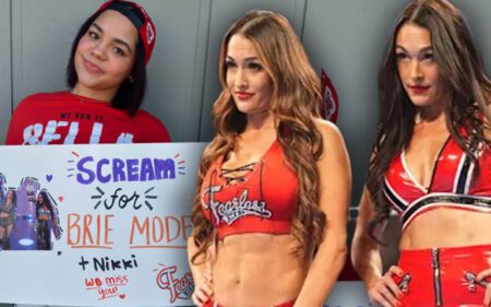 The Bella Twins React After Fan’s Sign Gets Confiscated at WWE RAW