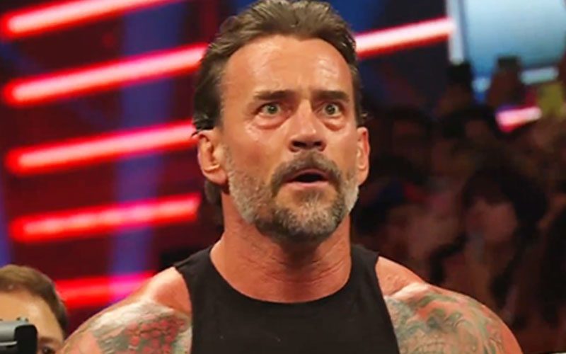 WWE Called Out Over Lack of Creative Plans for CM Punk After ...