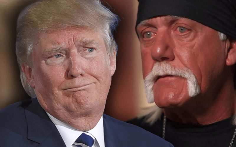 Donald Trump Accidentally Calls Hulk Hogan ‘The Huckster’ in Truth ...