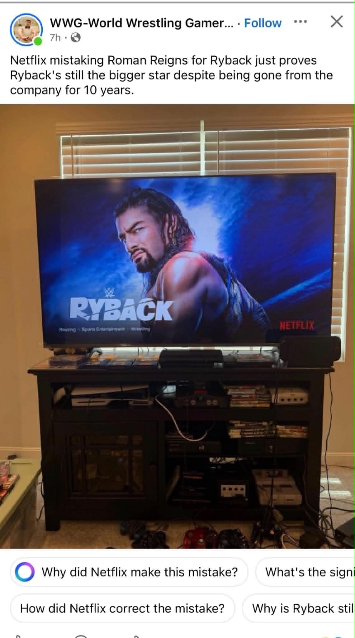 Netflix Did Not Mistake Payback for Ryback Despite Viral Hoax