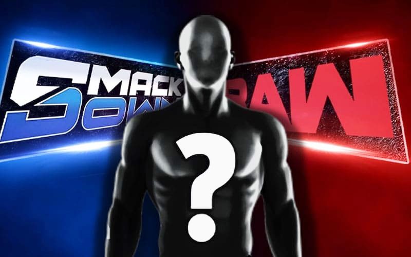 NXT Star’s Future Revealed Amid WWE Main Roster Call-Up Rumors
