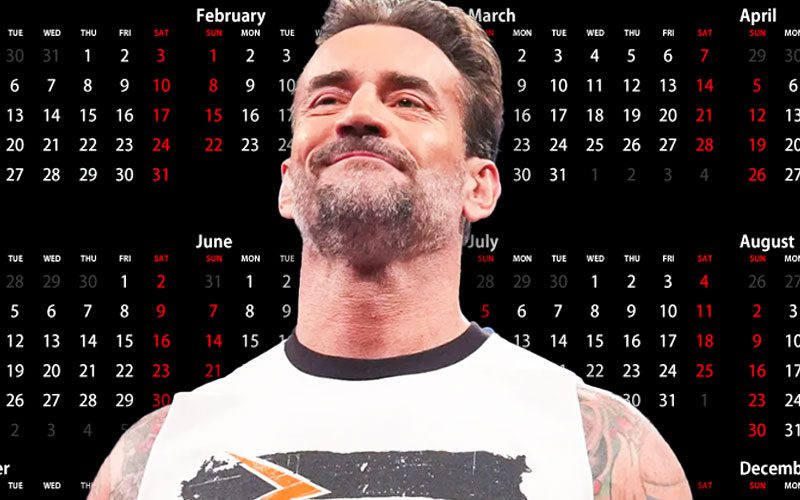 Possible Date for CM Punk’s Return Amid WWE TV Hiatus