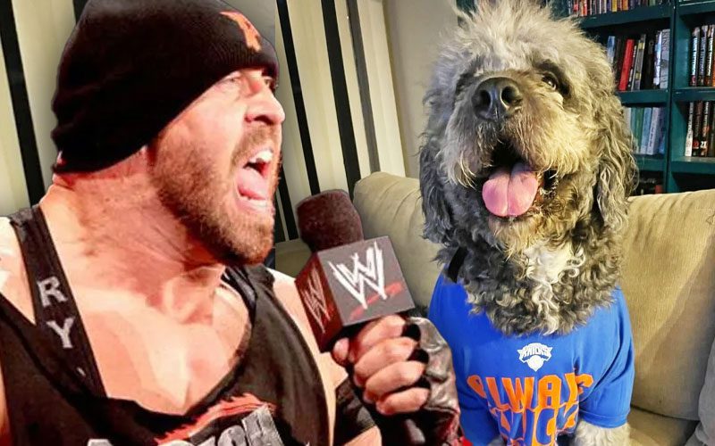 Ryback Demands Better Training After LAPD Shoots Family Dog During Knicks Celebration