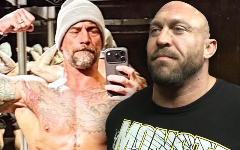 Ryback backing CM Punk is the weirdest subplot in wrestling today