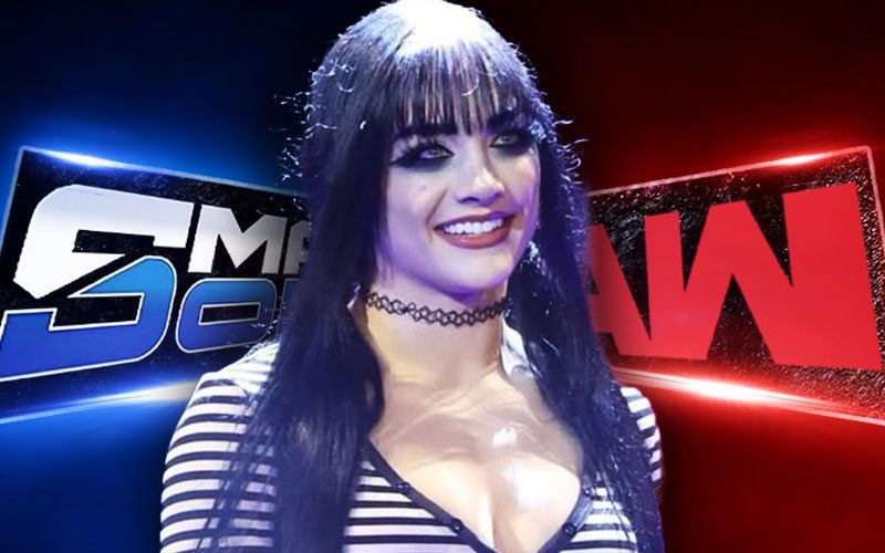 Tatum Paxley’s Current WWE Main Roster Call-Up Status