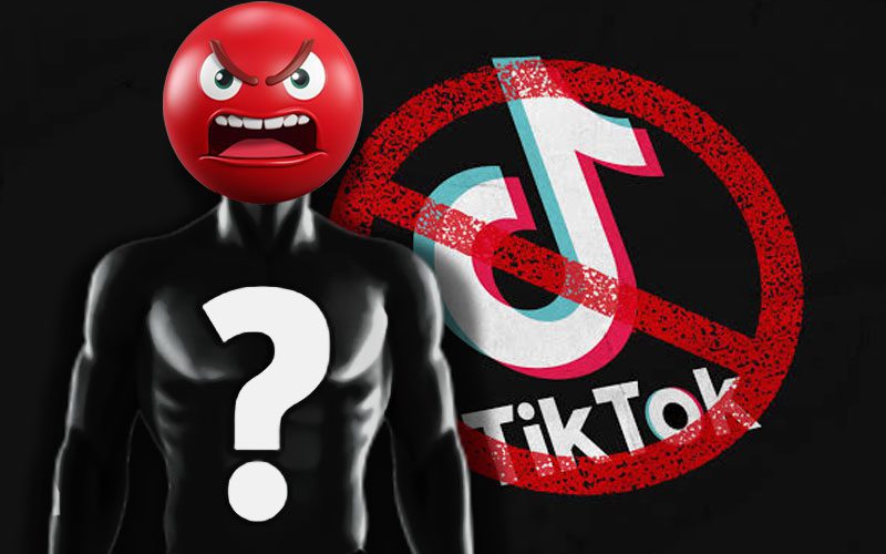 WWE Accused Of Using Streamer’s Clip After Getting Her TikTok Clips Channel Banned