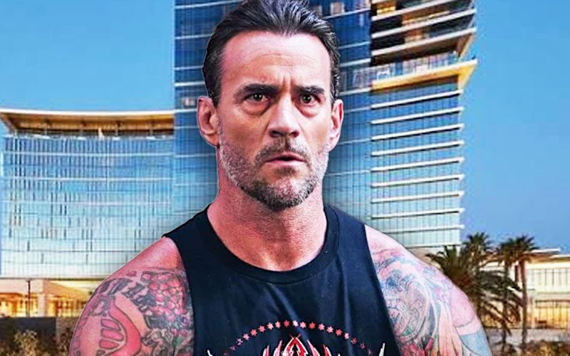 Another Fan Accuses CM Punk of Ignoring Him During Hotel Encounter
