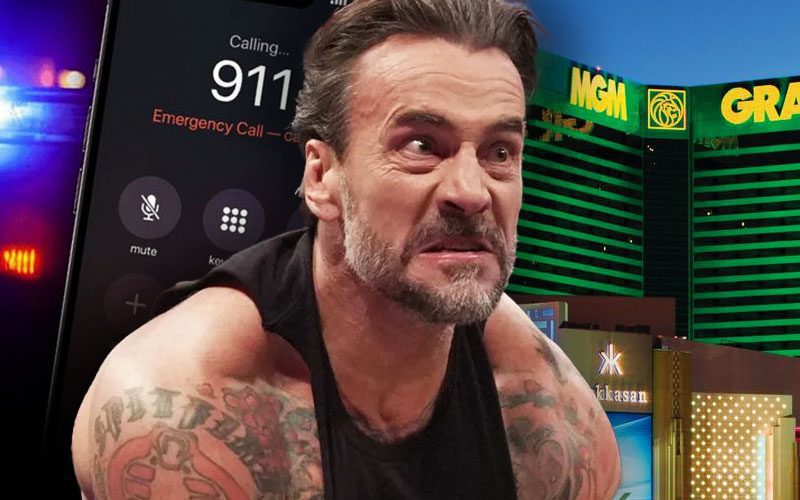 CM Punk Admits Fame Is a Burden After Multiple WWE Hotel Incidents