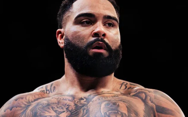 Ex-WWE Star Gable Steveson a Massive Favorite for UFC 329 Fight on Conor McGregor’s Return Card