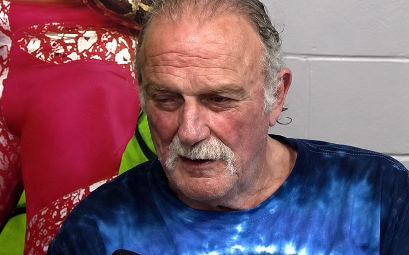 Jake Roberts Says WWE Should Fire Half Its Roster