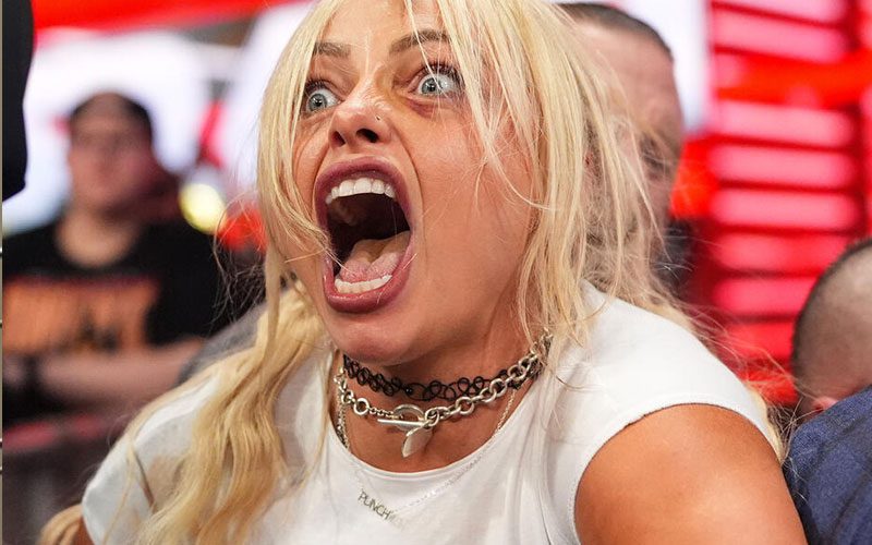 Liv Morgan Gets Dragged Over Lack of Title Defenses After 100-Day Milestone Flex