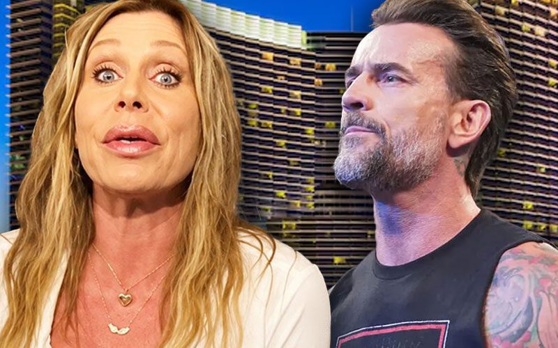 Missy Hyatt Says Fans Should Stop Tracking Wrestlers to Hotels Amid CM Punk Controversy