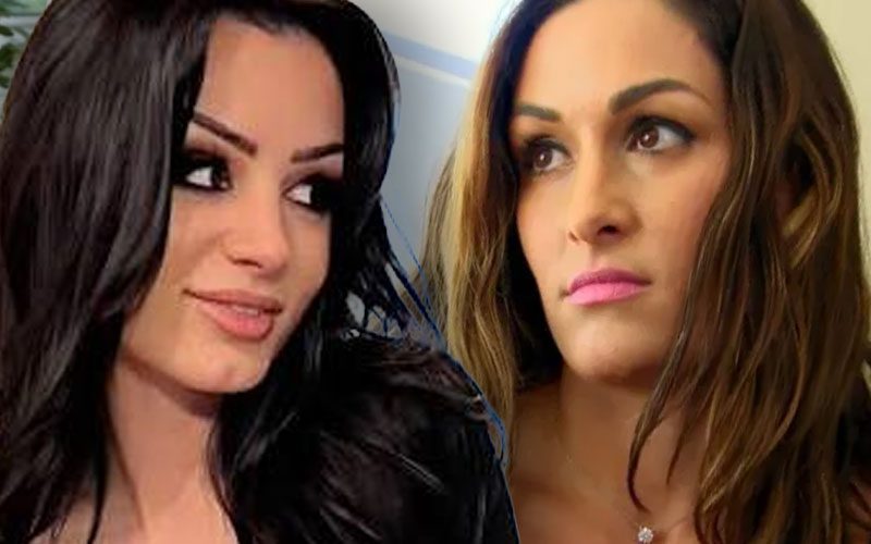 Paige Clowns Fan Over Nikki Bella Heel Turn Talk After WWE SmackDown Return
