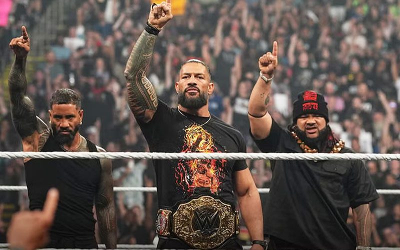 Roman Reigns Reveals How Long the Bloodline Story Will Continue