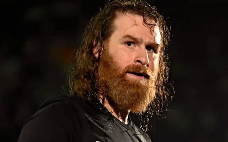Sami Zayn Likely Did Not Take WWE Pay Cut Despite Podcast Speculation