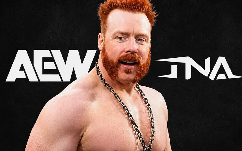 Sheamus’ WWE Exit Opens Door To AEW, TNA, New Japan Or Indies