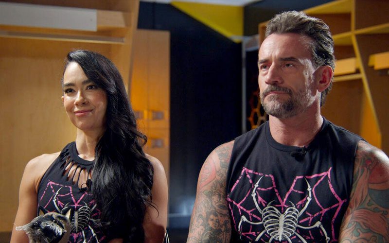 WWE Advised to Use Wrestlers’ Real Stories in Storylines