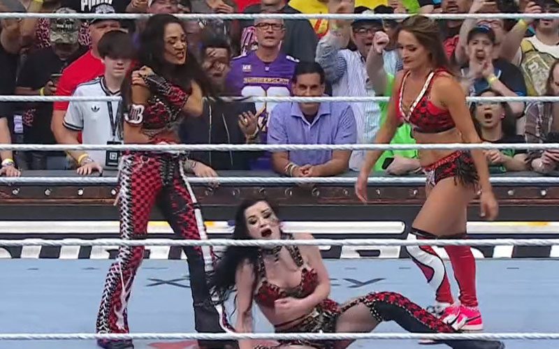 Brie Bella Appears to Suffer Shoulder Injury at WWE SummerSlam