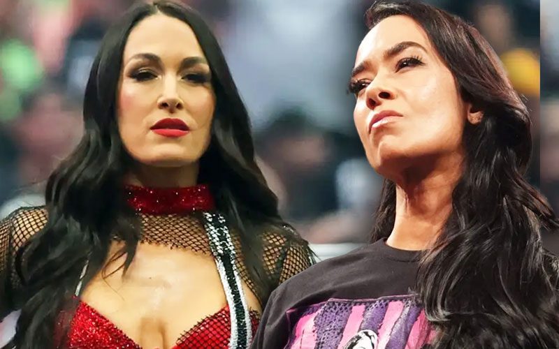 Brie Bella’s Injury May Have Changed AJ Lee’s WWE Return Plans