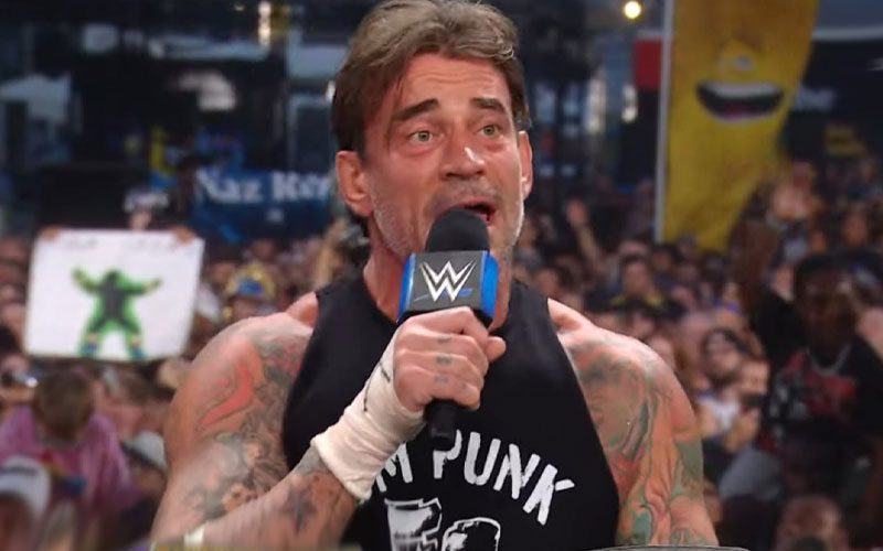 CM Punk Reacts To Not Being SummerSlam Main Event Match With Confident Statement
