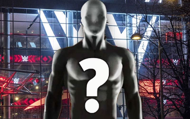 Former WWE Star Addresses Potential Return After Release