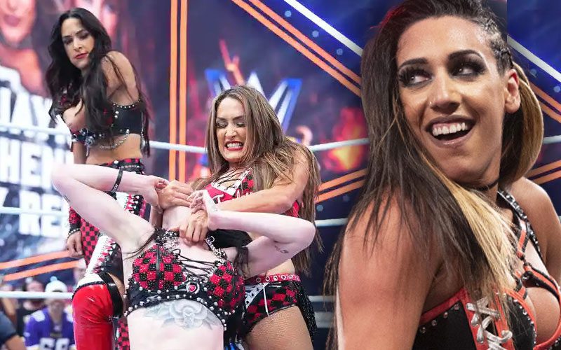 Jacy Jayne Takes Credit for The Bella Twins Betraying Paige at WWE SummerSlam