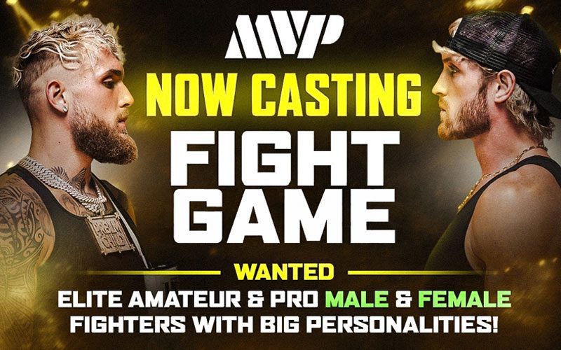Logan Paul and Jake Paul’s New Hulu Fight Show Reveals Casting Requirements