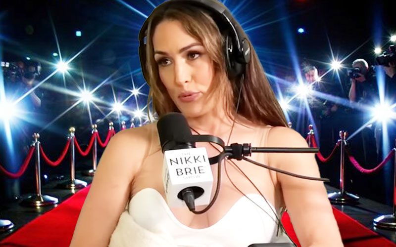 Nikki Bella Was Forced to Pay $15K After Reposting Paparazzi Photo of Herself