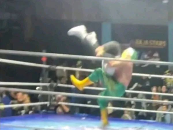 Hijo de Fishman Detained After Referee El Búho Dies During Wrestling Match