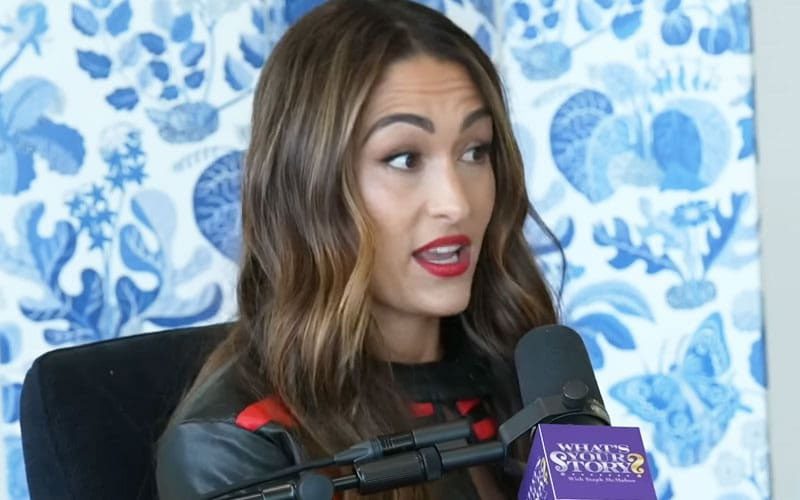 Nikki Bella Is Tired of People Trying to Set Her Up With Men